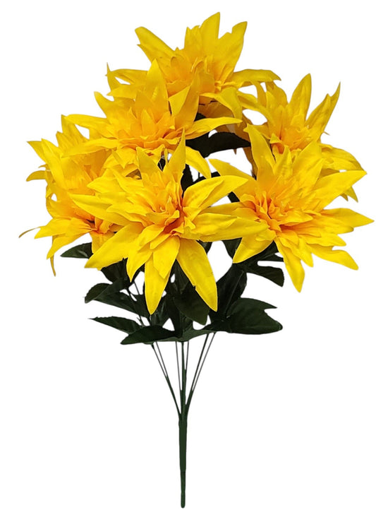 16252 |  WILD DAHLIA X9 | YELLOW