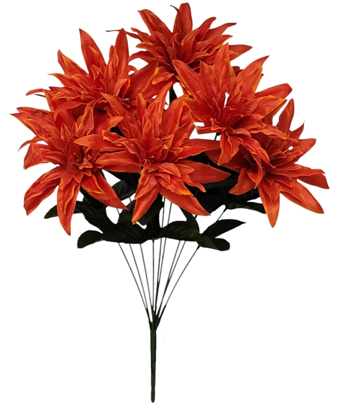 16253 |  WILD DAHLIA X9 | ORANGE