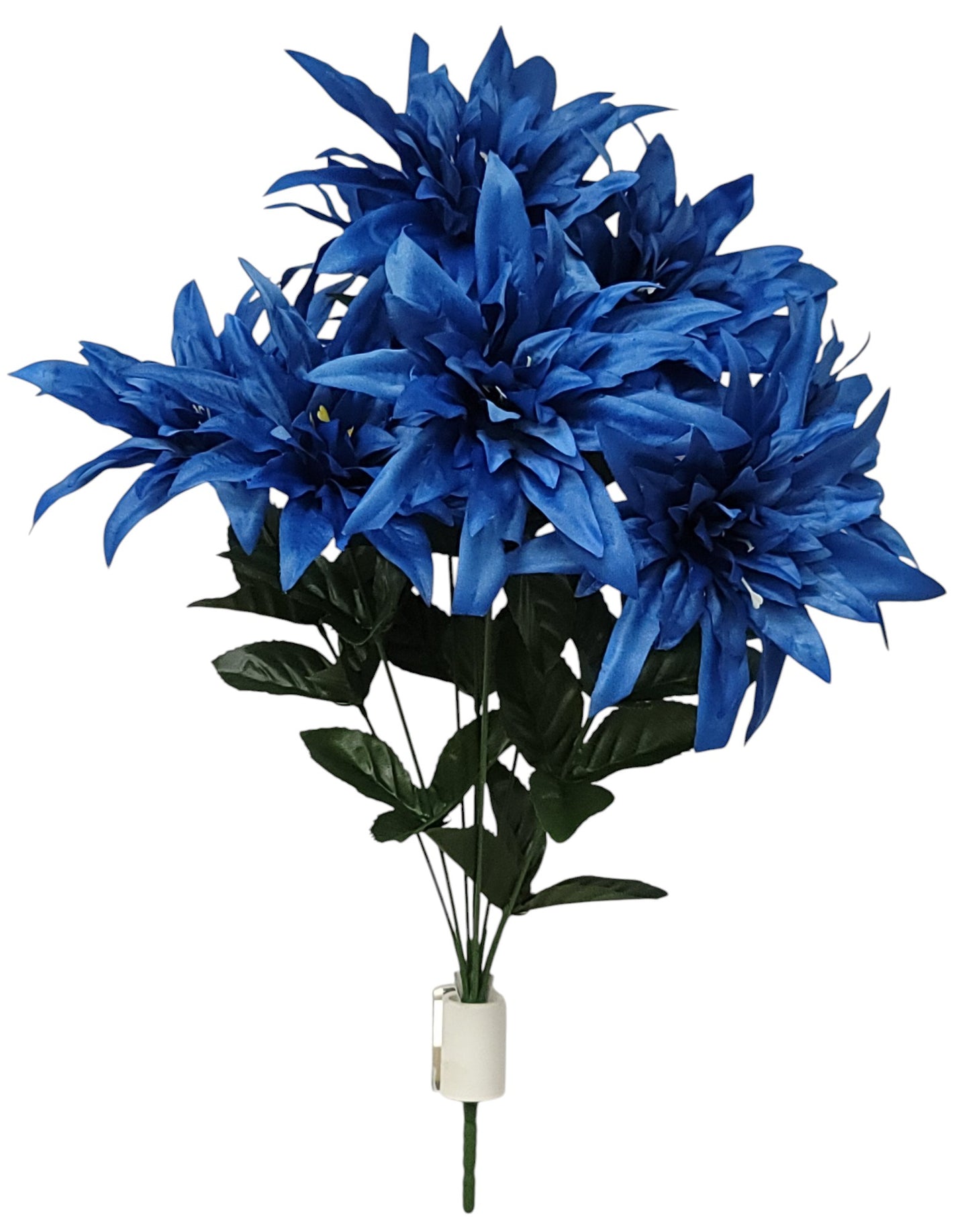 16254 |  WILD DAHLIA X9 | BLUE