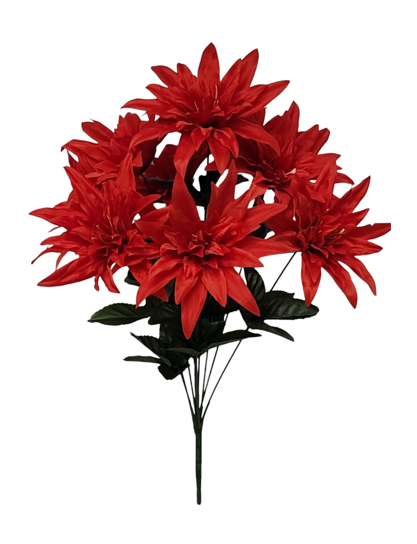 16255 |  WILD DAHLIA X9 | RED