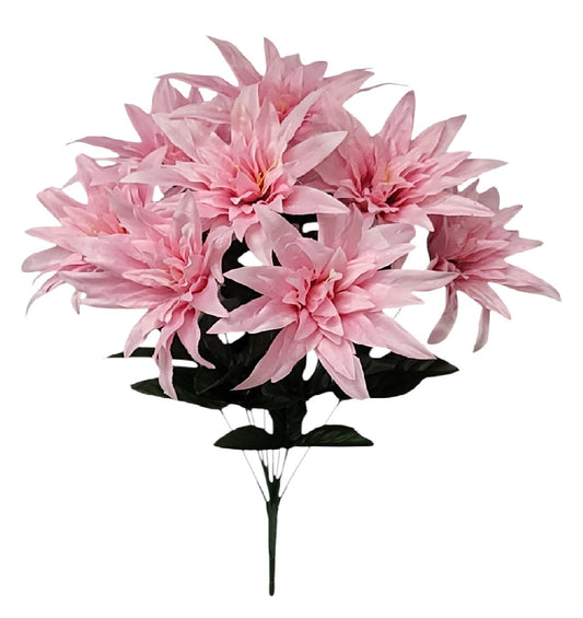 16257 | WILD DAHLIA X9 | PINK