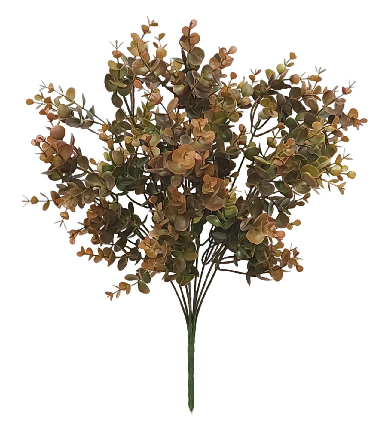 18233 | EUCALYPTUS BUSH X9 | FALL