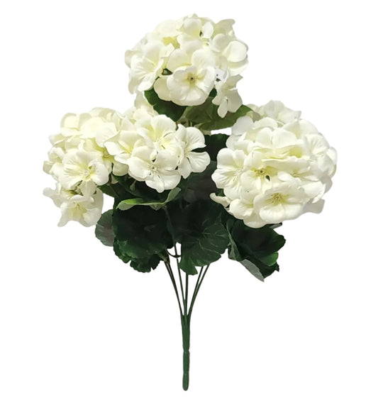 19162 | Geranium Bush x7 | Cream - A&B Wholesale Market Inc
