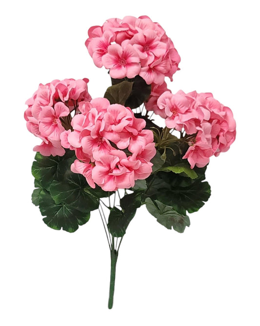 19163 | Geranium Bush x7 | Pink - A&B Wholesale Market Inc