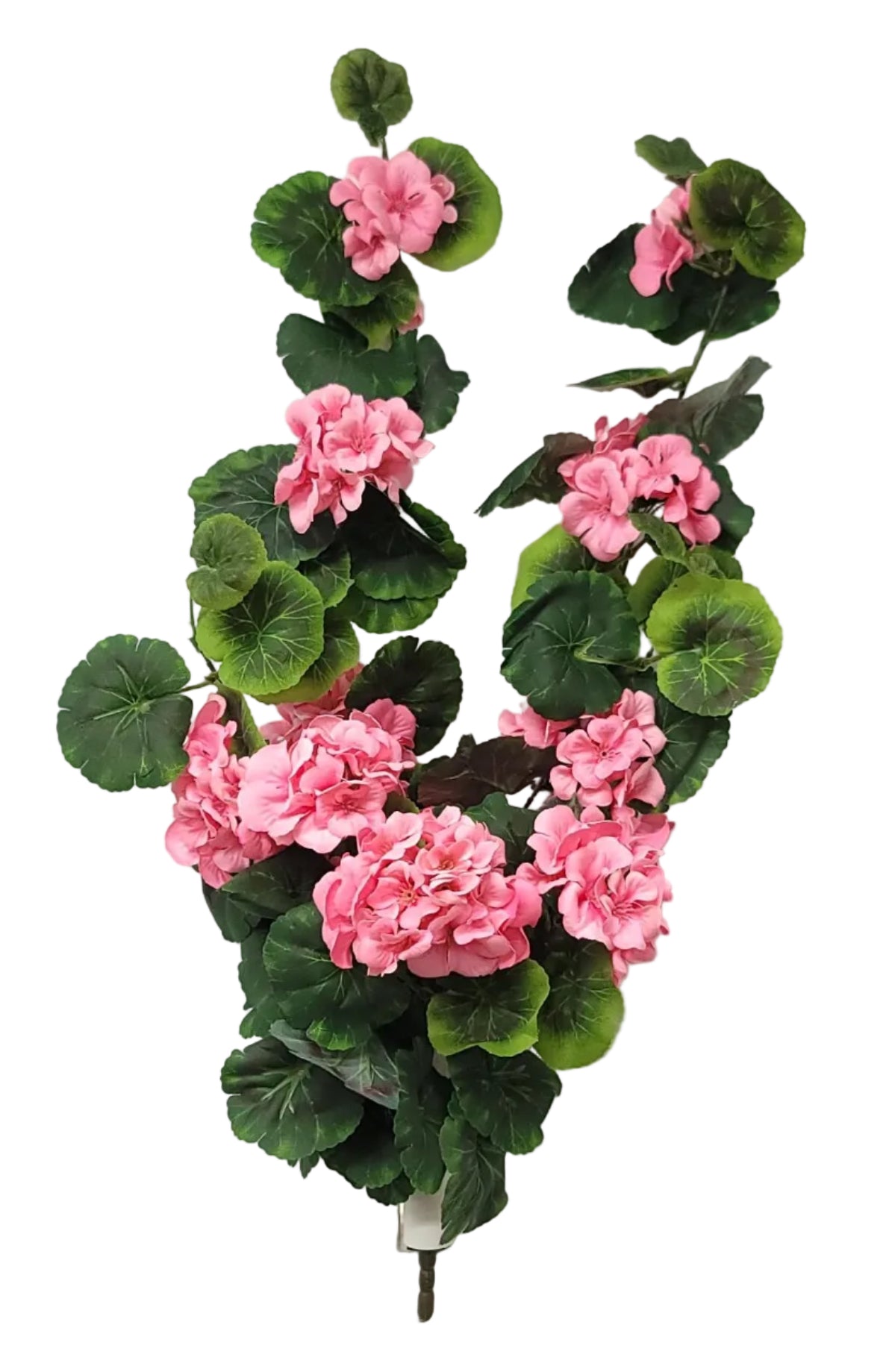 19173 | Geranium Hanging Bush | Pink - A&B Wholesale Market Inc