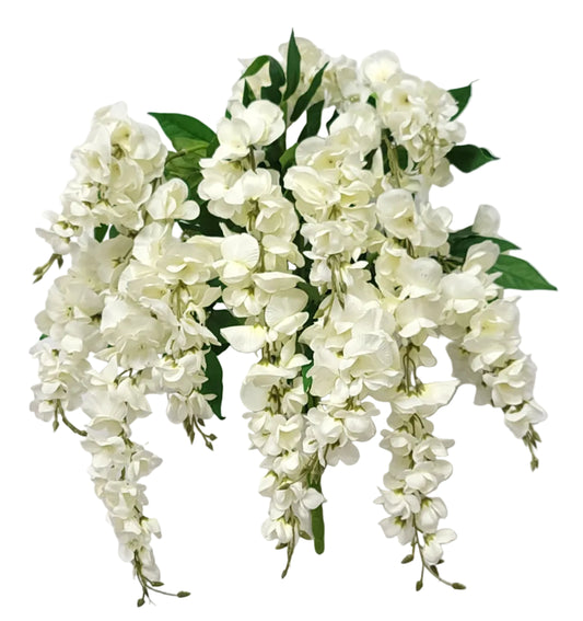 19241 | Wisteria Bush x13 | Cream