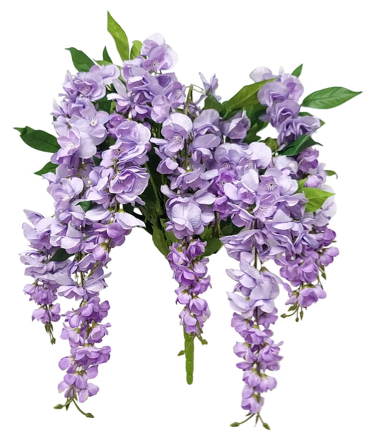 19242 | Wisteria Bush x13 | Purple