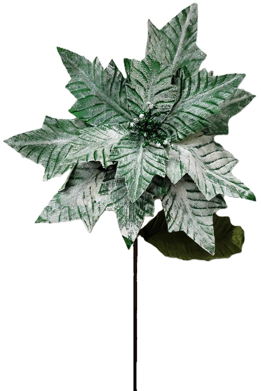 NF412406 | Poinsettia Stem | Emerald Brushed w/White | 17.75"Dia x 24.75"L