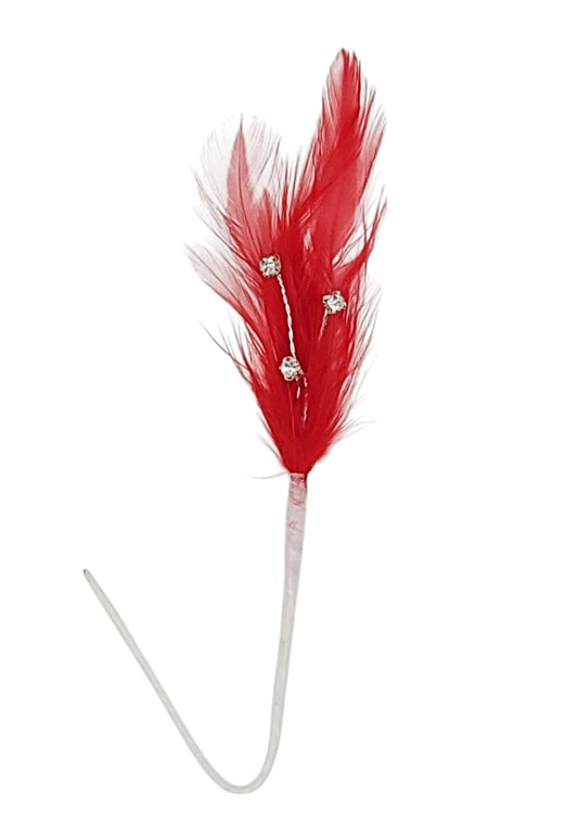 2026-Red | Rhinestone Feather Spray | 6PCS