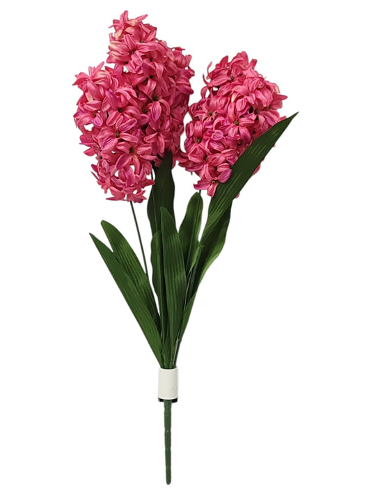 73703 | LARGE HYACINTH X5 | BEAUTY