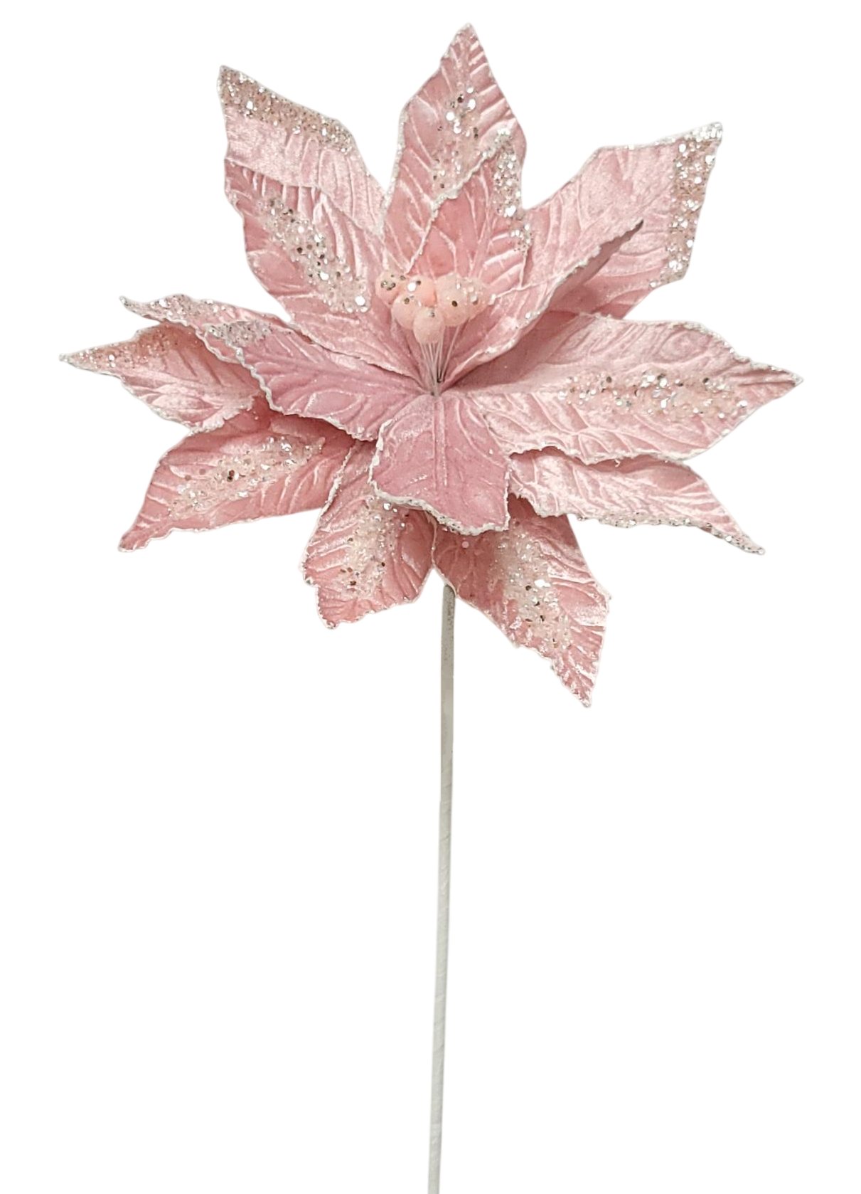 25814 | Poinsettia x1 | Pink