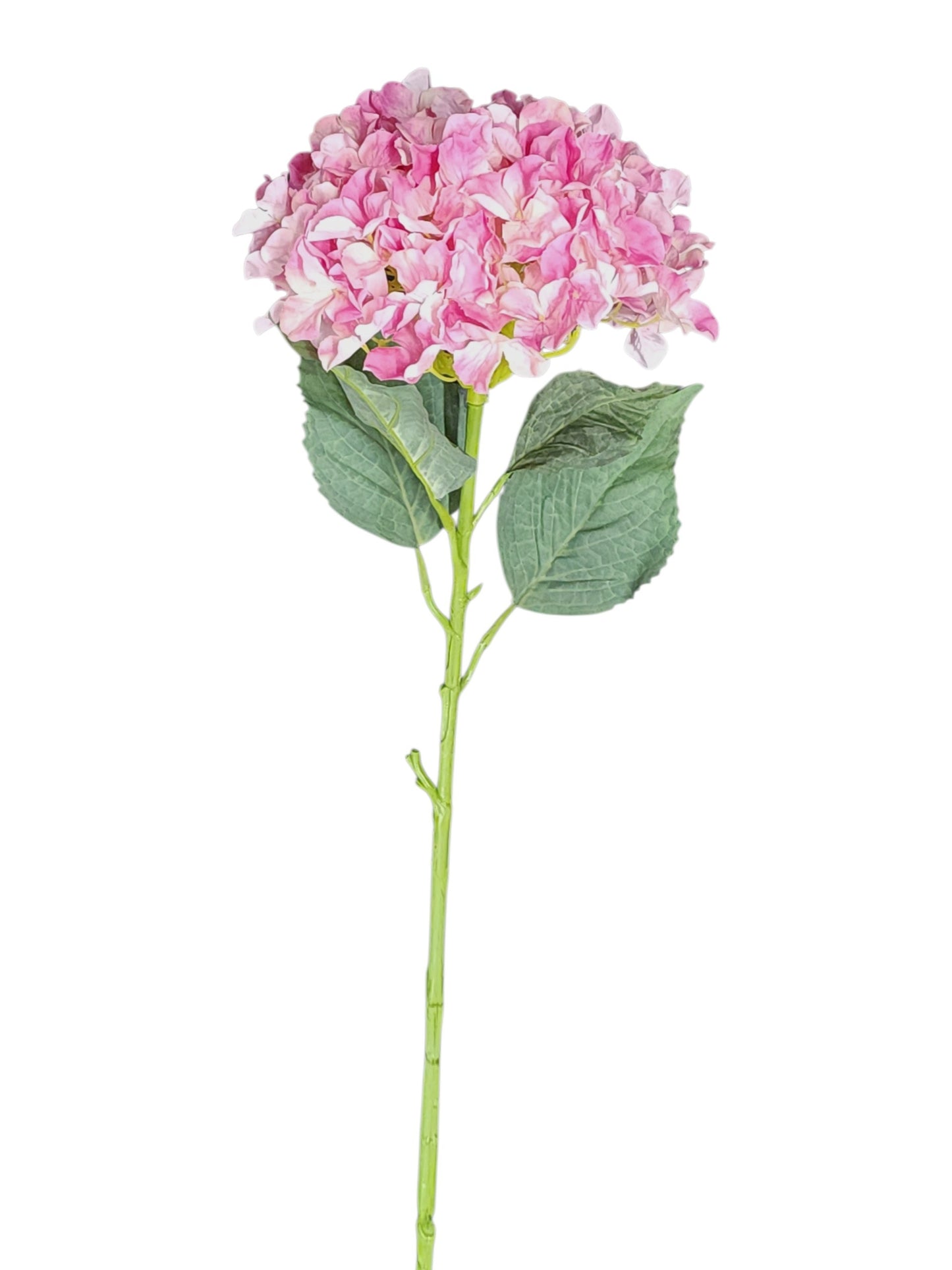 79405 | Jumbo Hydrangea x1 | Beauty