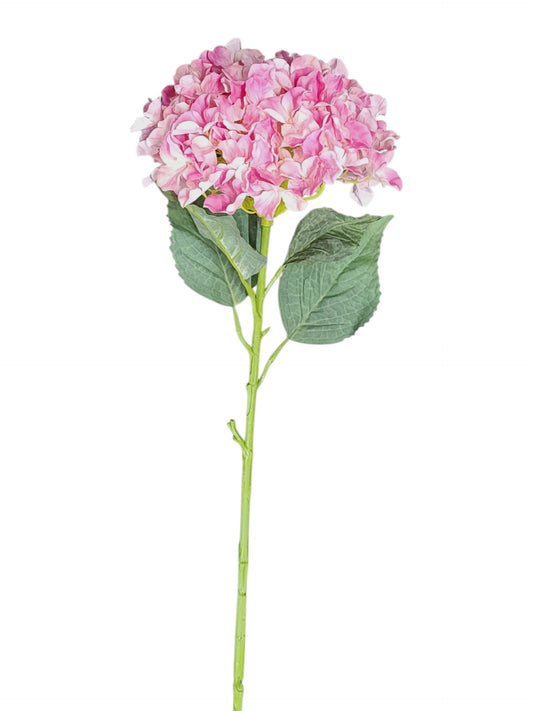 79405 | Jumbo Hydrangea x1 | Beauty