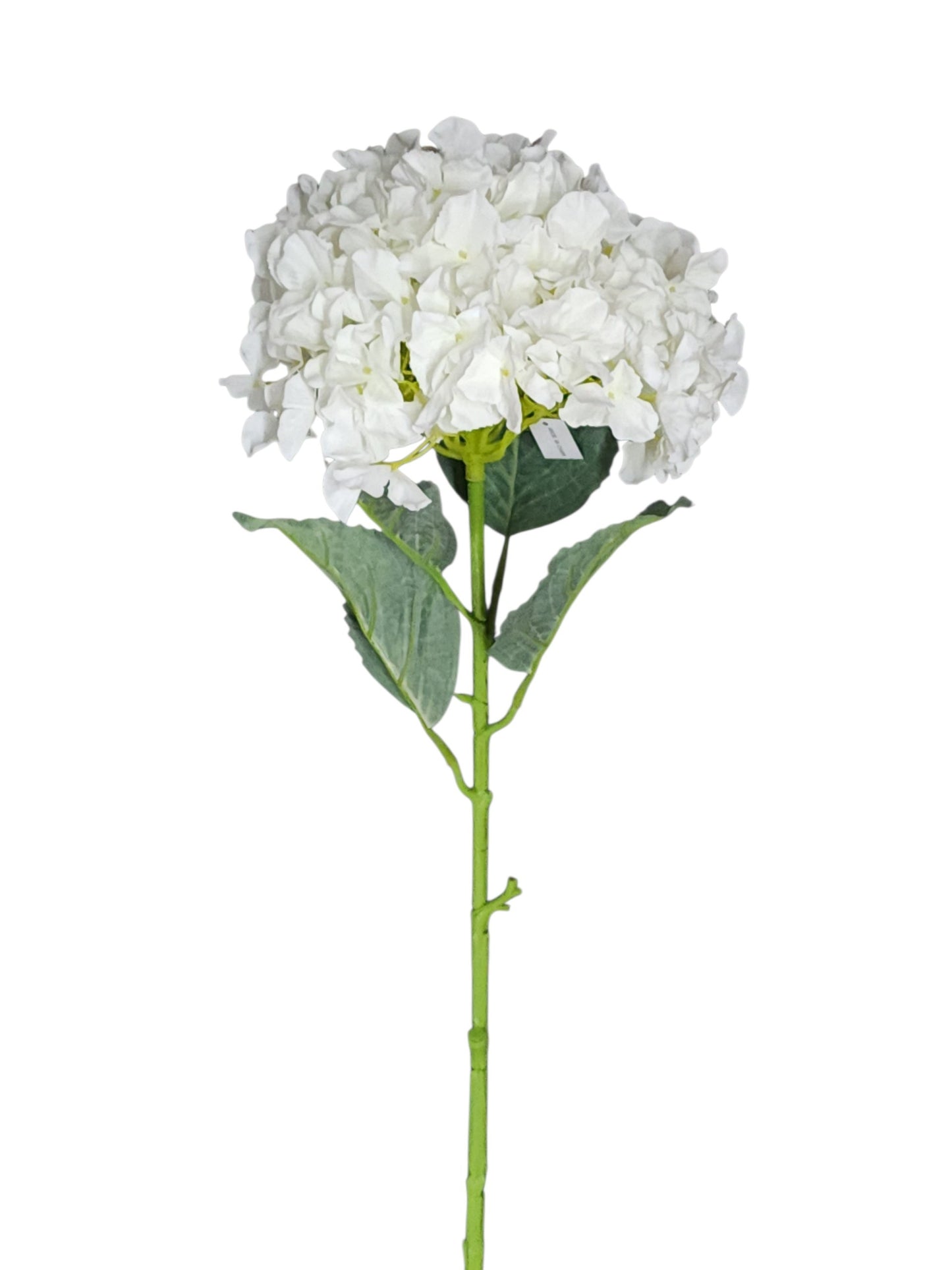 79401 | Jumbo Hydrangea x1 | Cream