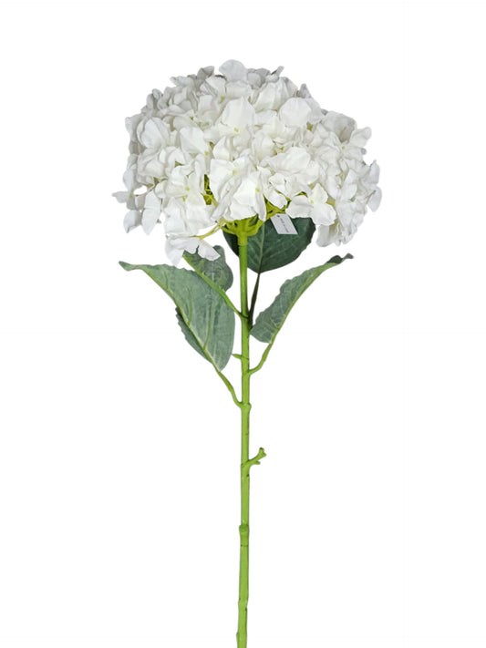 79401 | Jumbo Hydrangea x1 | Cream