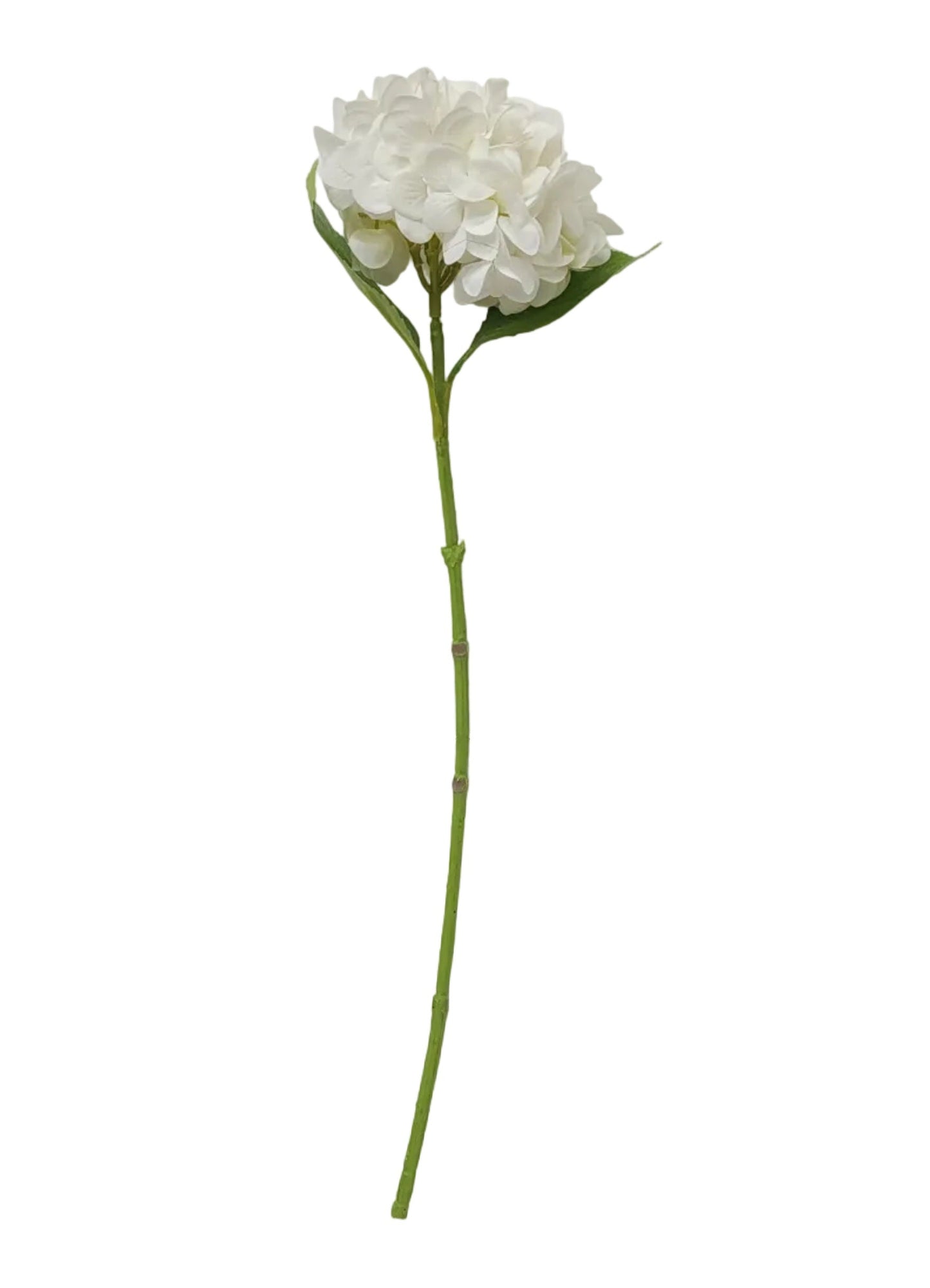 FS336637 | 27" | HYDRANGEA STEM | WHITE