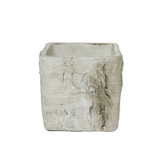 MX031335 | 5"SQ | CEMENT BIRCH PLANTER