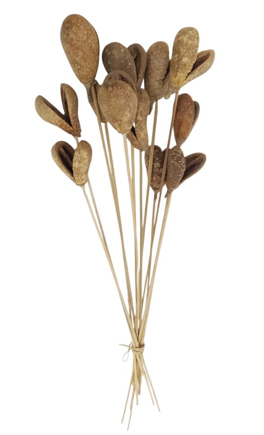 TT3119 | 21"L | Mike Fruit On Bamboo Stem Bundle x12 | Natural