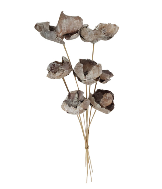 TT317130 | 20"L | Palm Cap On Bamboo Stem Bundle x7 | Whitewash