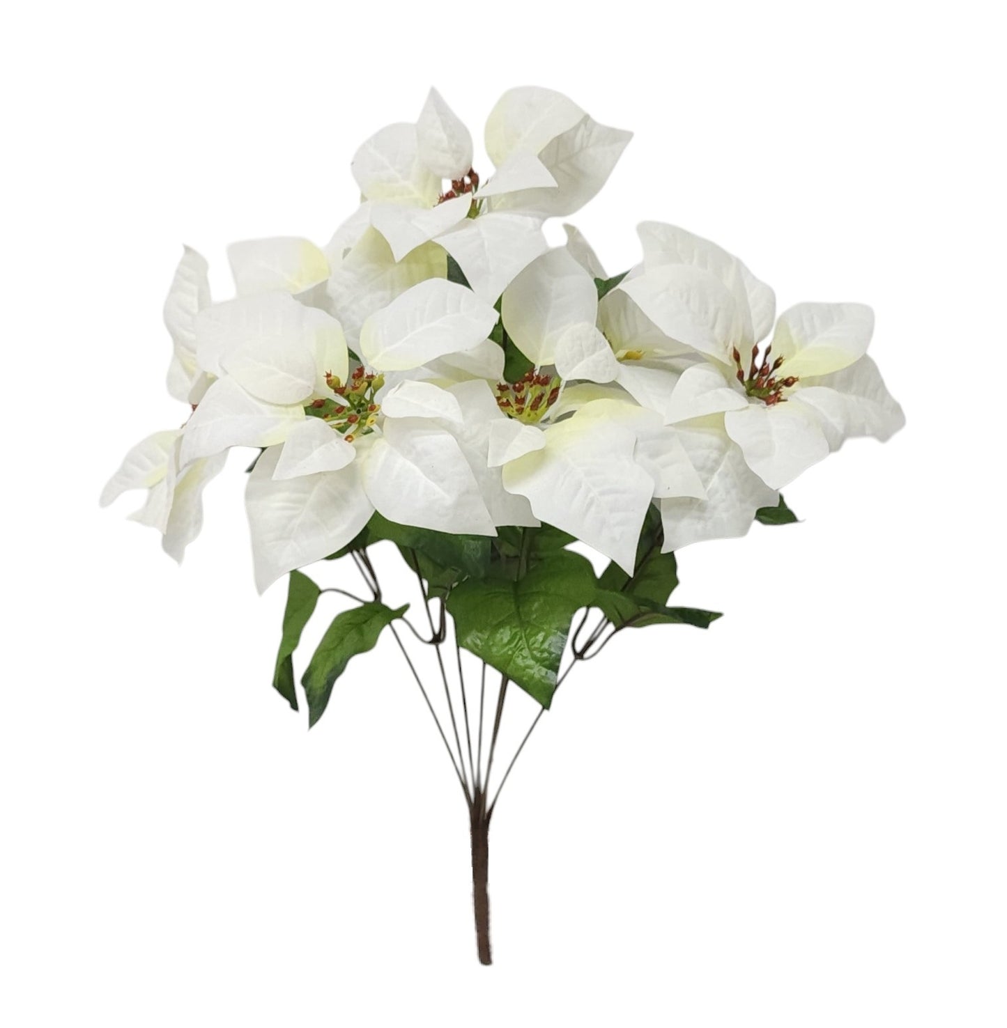 11004 | RAMO POINSETTIA BUSH X6 |CREAM
