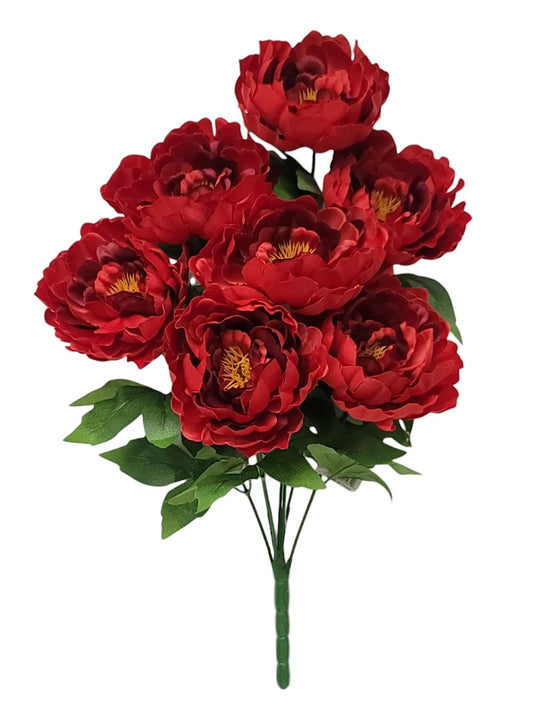 21434 | Peony Bush x7 | Red