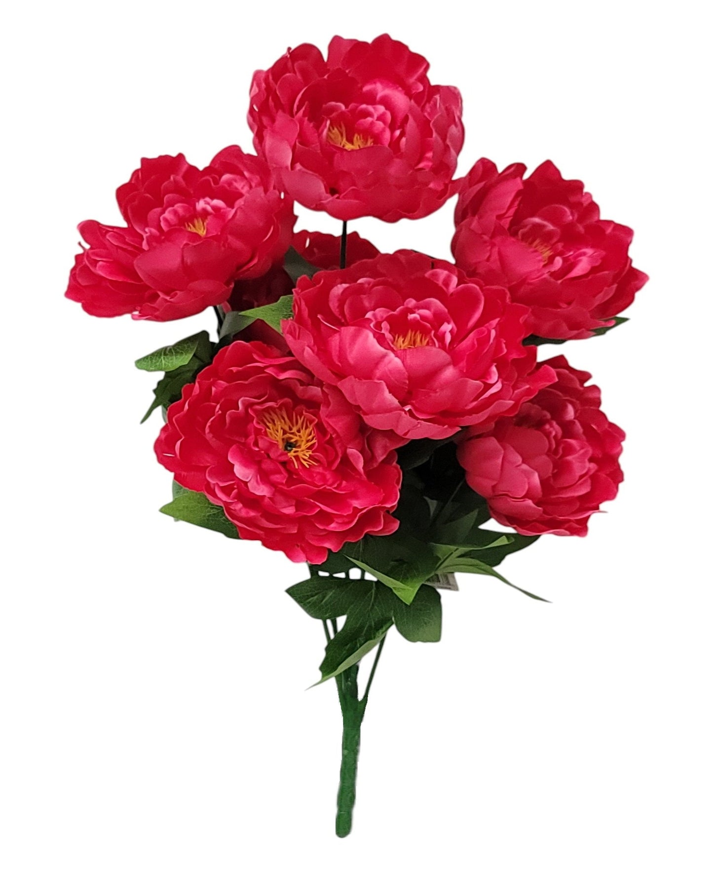 21437 | Peony Bush x7 | Beauty