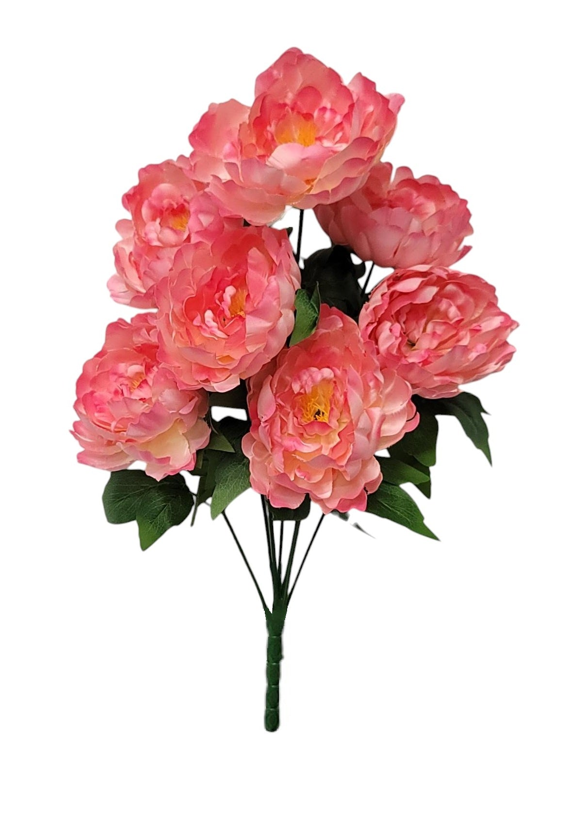 21438 | Peony Bush x7 | Pink - A&B Wholesale Market Inc