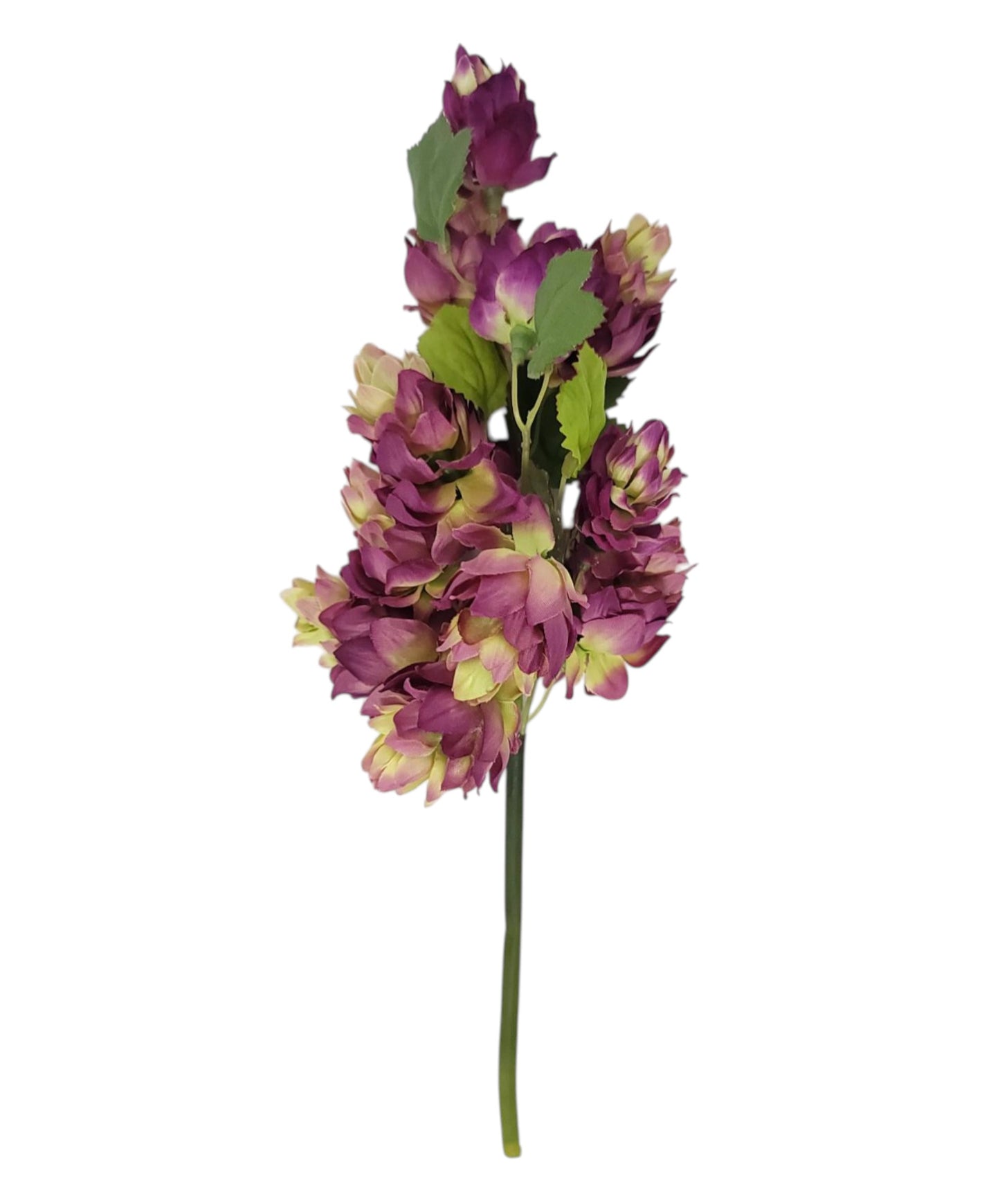 2268019PU | 12" | Hop Spray x12 | Purple