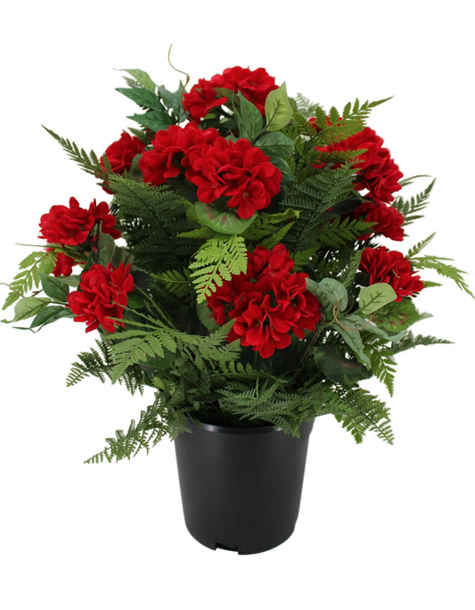 23160 |  25" | Hydrangea Potted Plant | Red