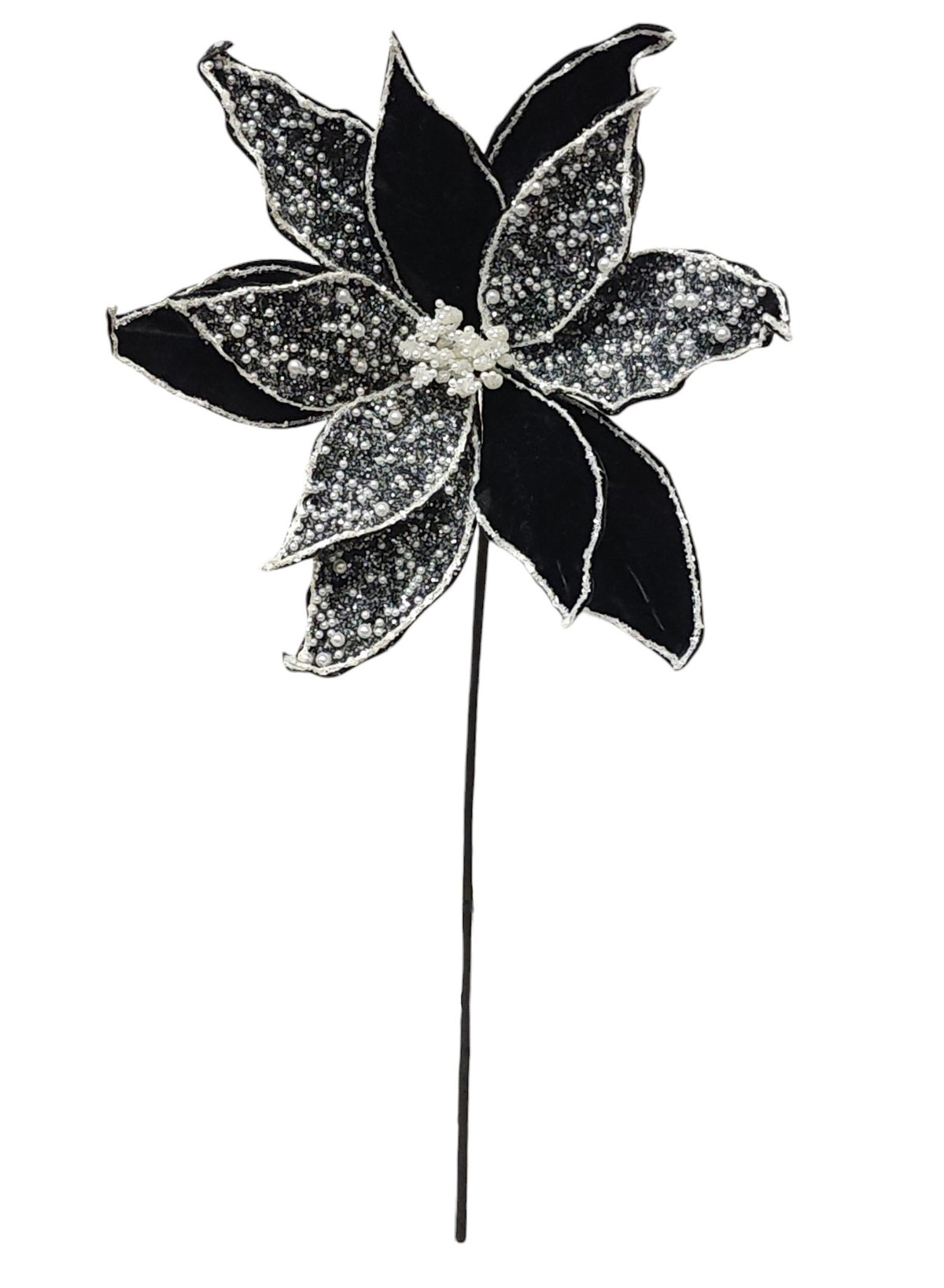 25043 | GLITTER/PEARL POINSETTIA | BLACK/WHITE