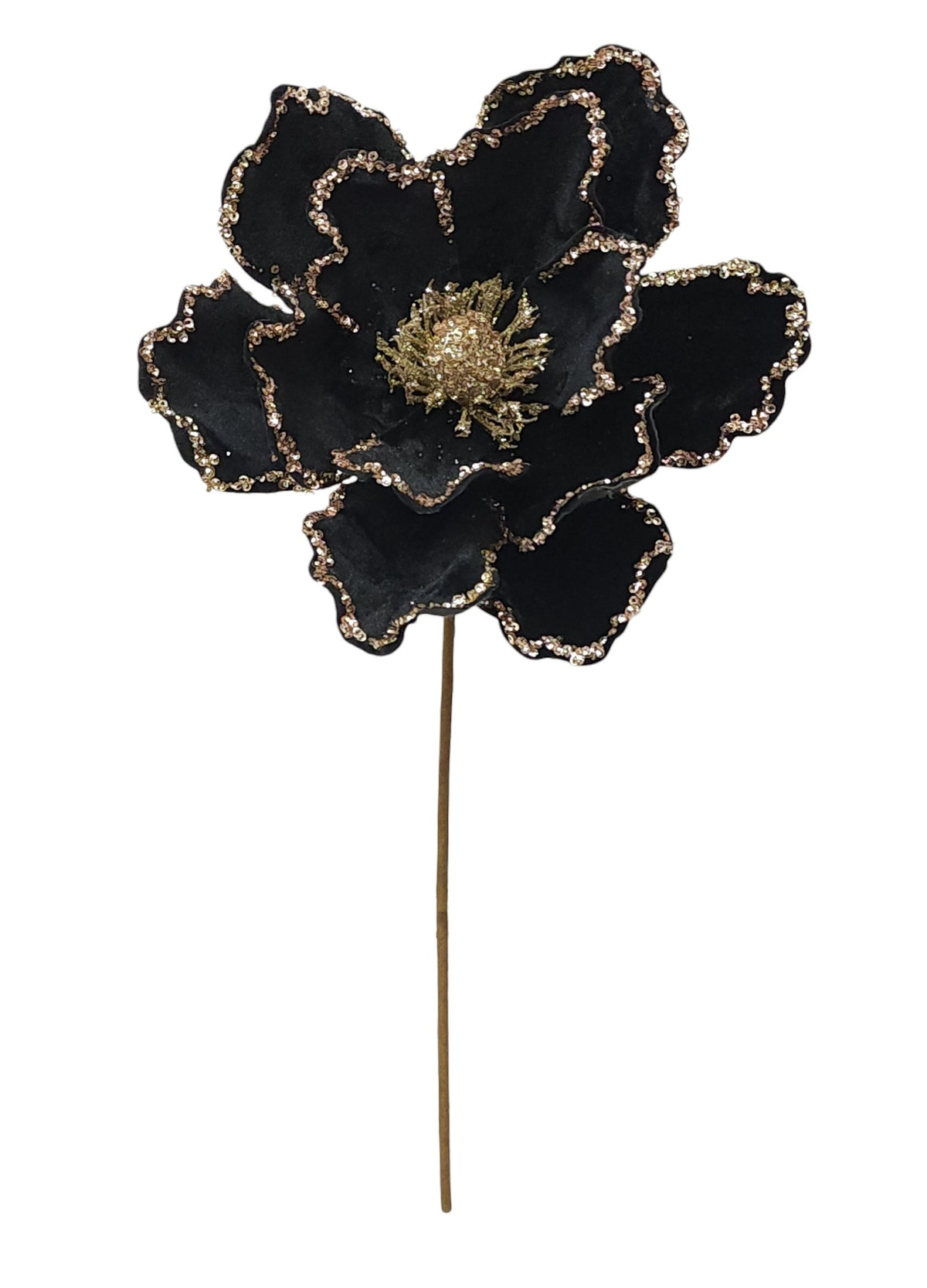 25047 | XMAS MAGNOLIA | BLACK/CHAMPAGNE
