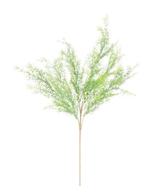 FG662731 | 23"L | Moss Fern Bush | Dusty Green