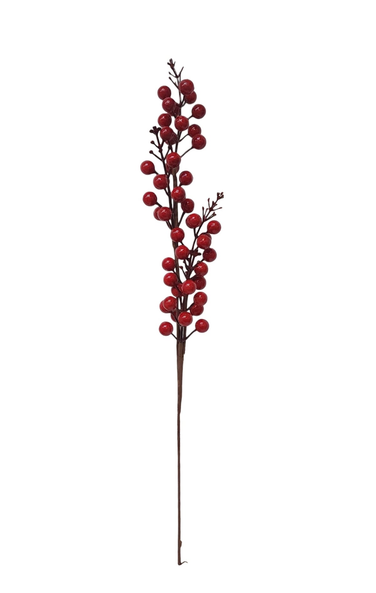25868 | BERRY SPRAY | RED