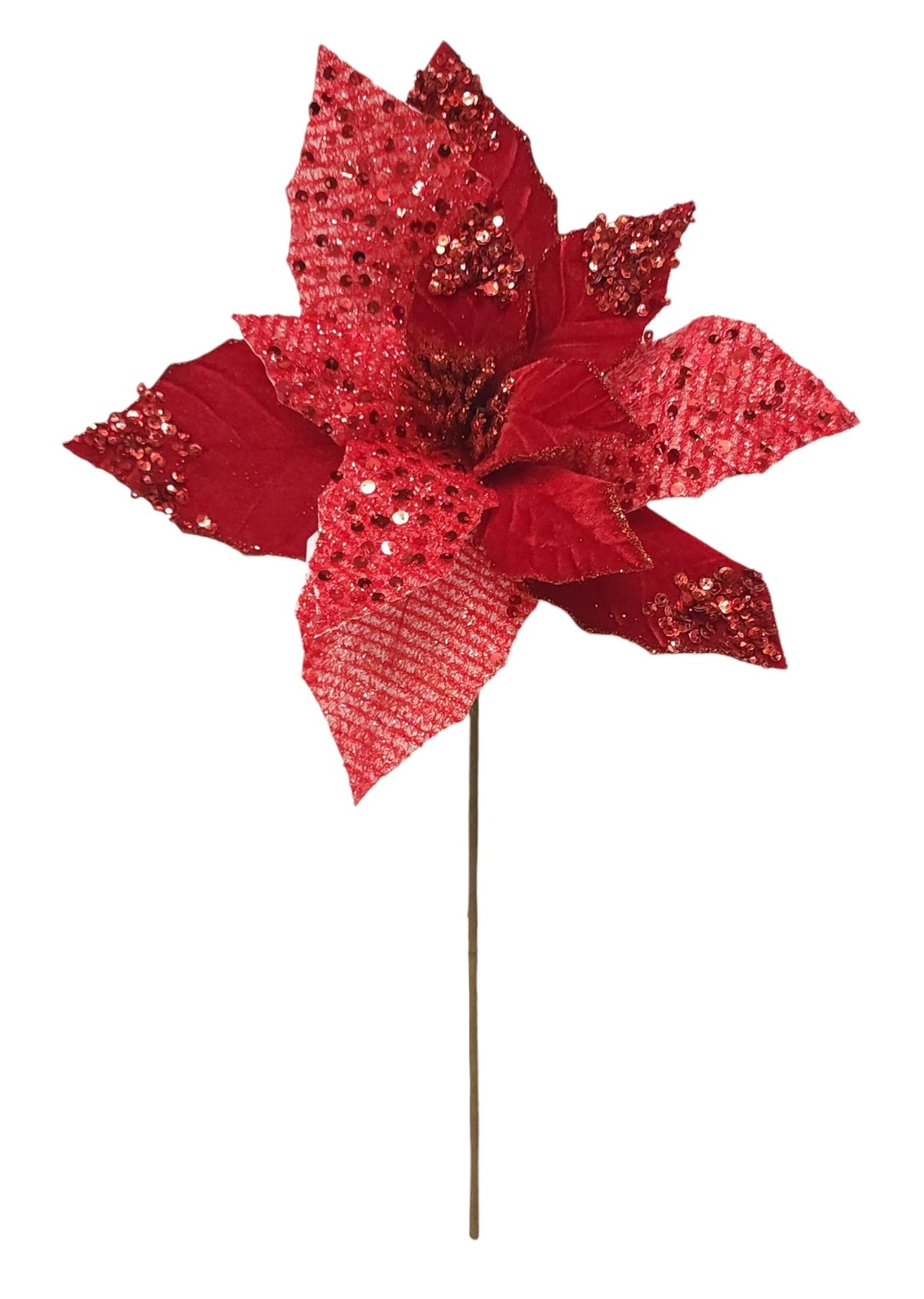 26160 | POINSETTIA X1 | RED