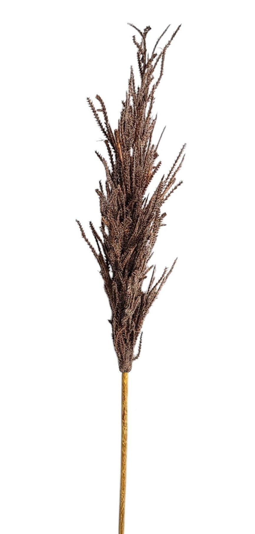 2752025BR | 32" | Dried Reed Spray - A&B Wholesale Market Inc