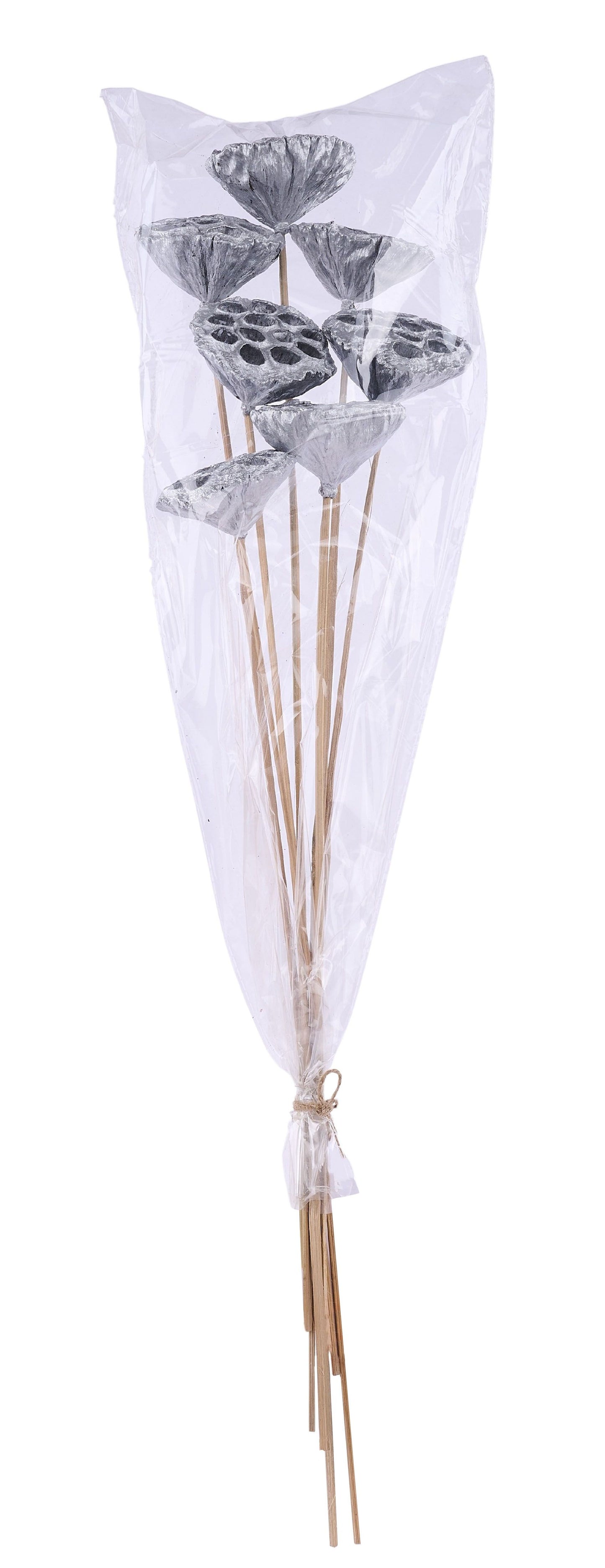 TT316226 | 20"L | Lotus Pod On Stem Bundle x7 | Silver