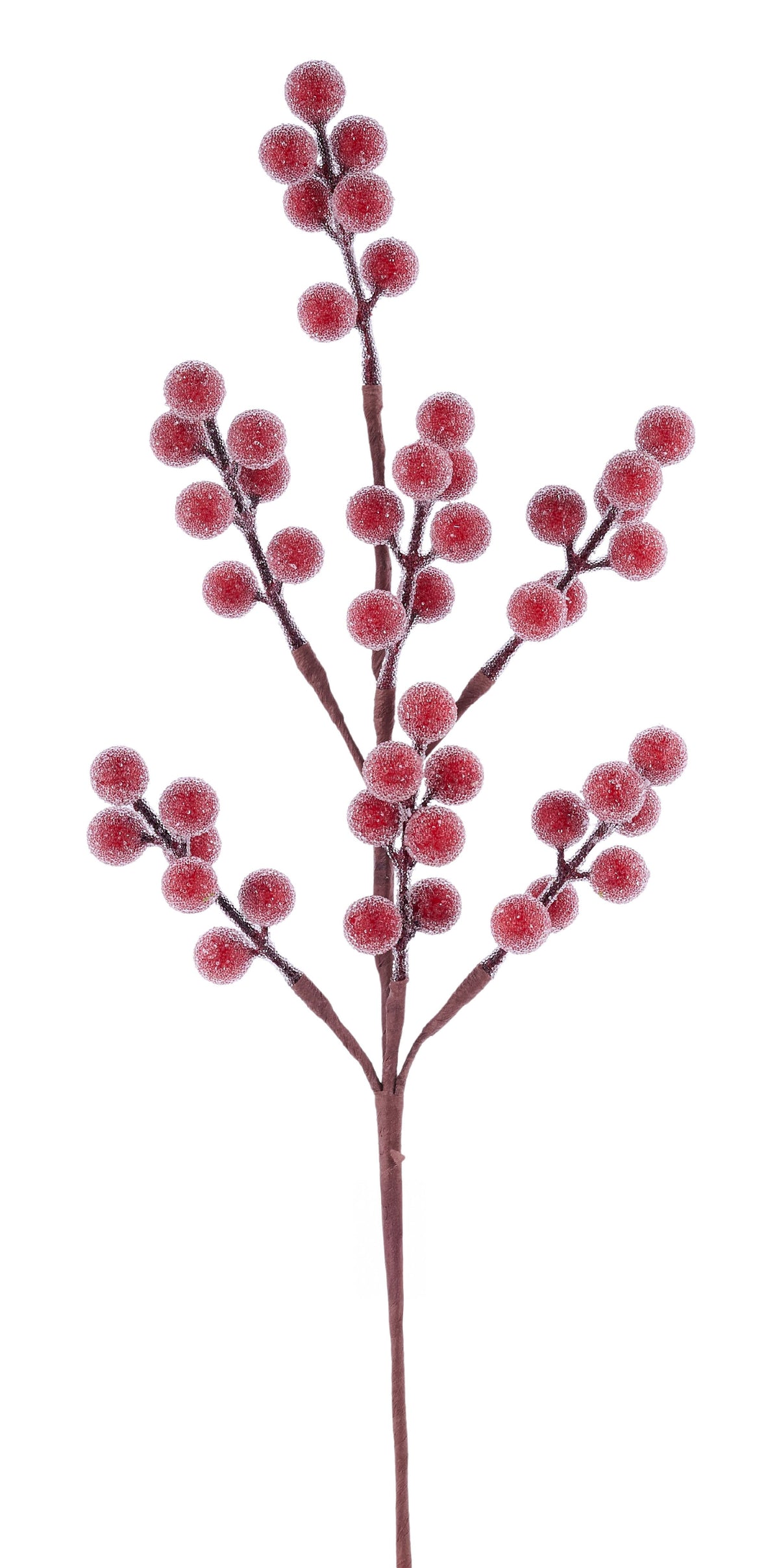 EW014924 | 16.5"L | Iced Waterproof Berry Pick | Red