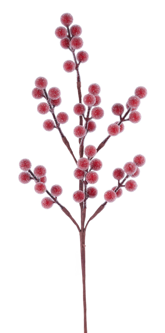 EW014924 | 16.5"L | Iced Waterproof Berry Pick | Red