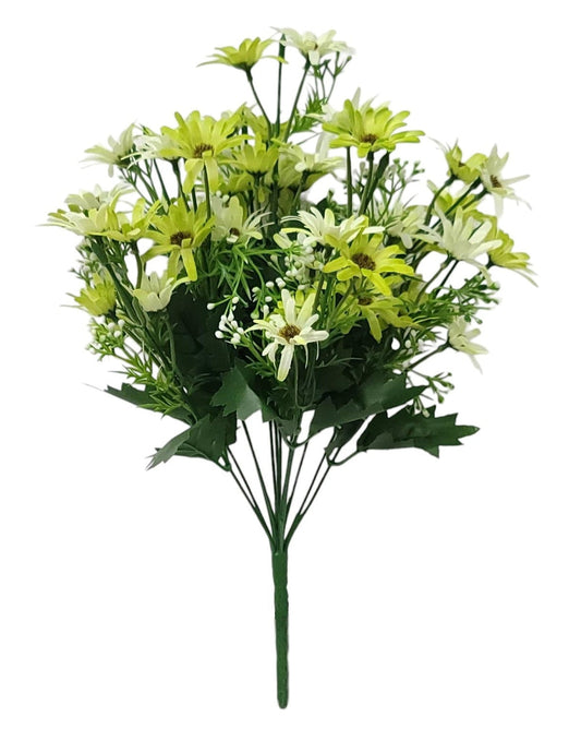 36334 | Daisy Bush x12 | Green