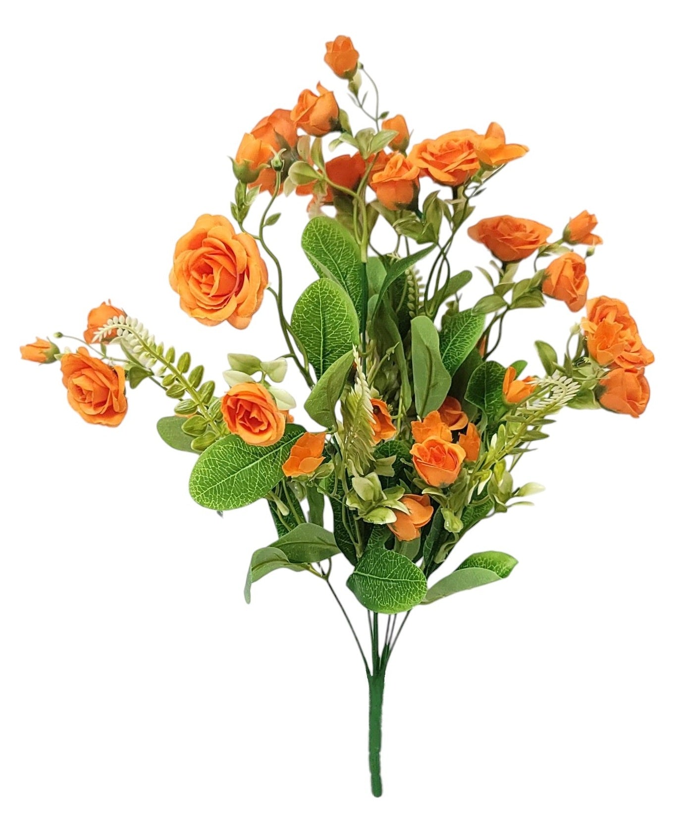 37307 | Rose Bush x7 | Orange - A&B Wholesale Market Inc