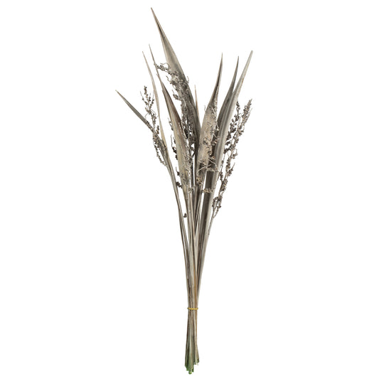 H2BAH900 36" White Wash Bahia Spears Seeded, 9 stems, Dried - A&B Wholesale Market Inc