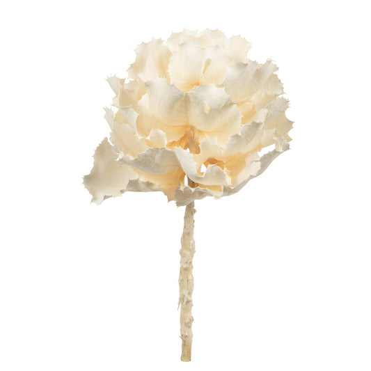 H1QUE999 8" Bleached Queen Flower - A&B Wholesale Market Inc