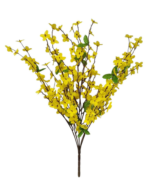 41301 | Forsythia Bush x6 | Yellow - A&B Wholesale Market Inc