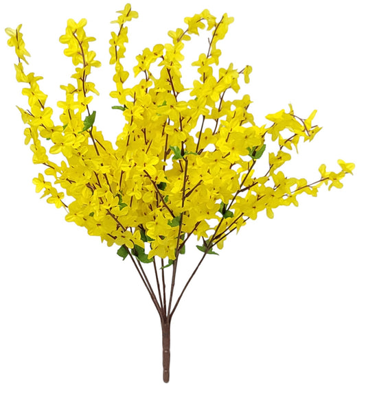 41311 | FORSYTHIA BUSH X7 | YELLOW