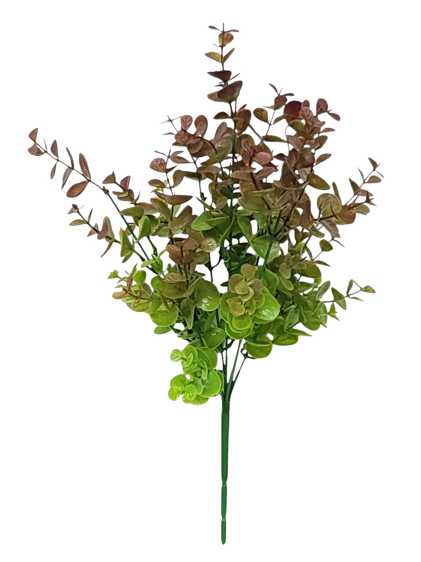 43123 | EUCALYPTUS BUSH X7 | BROWN