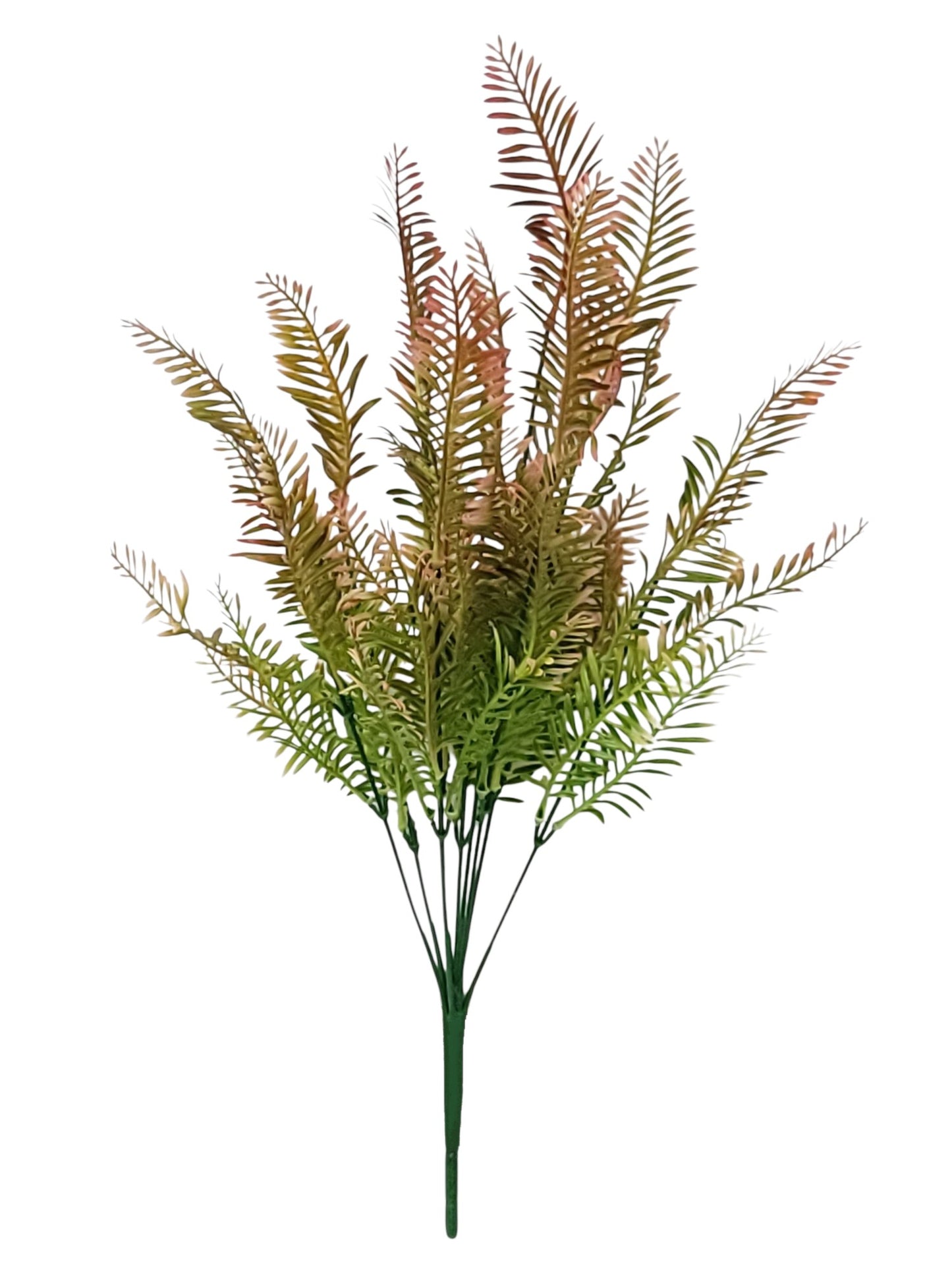 43227 | FERN BUSH X9 | BEAUTY