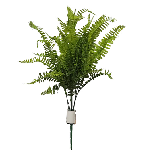 43361  BOSTON FERN BUSH X7- GREEN