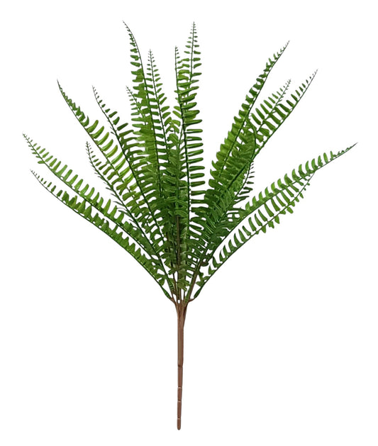 43541 | BOSTON FERN BUSH | GREEN