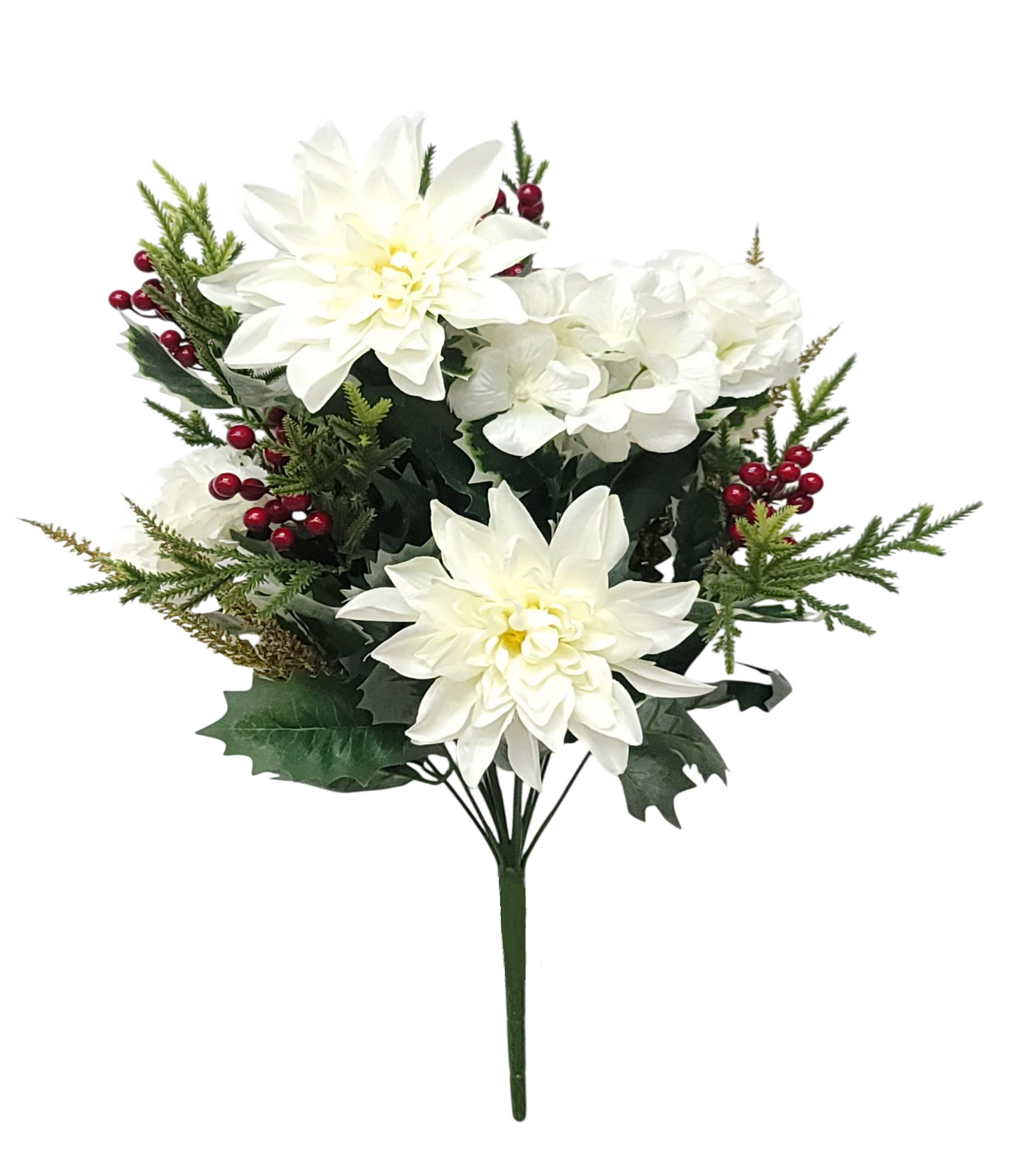 44432 | DAHLIA/HYDRANGEA/HOLLY BUSH X12 | CREAM