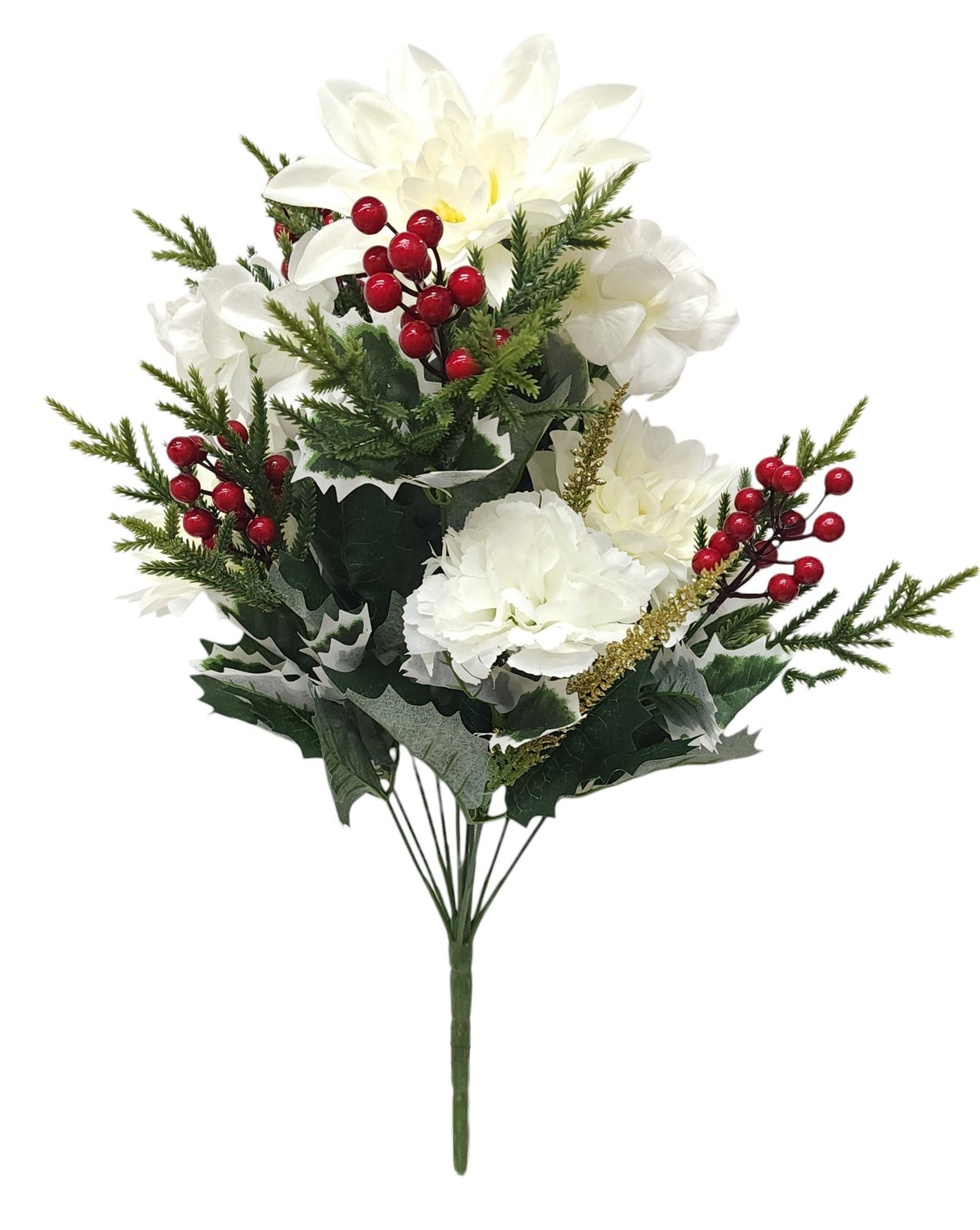 44432 | DAHLIA/HYDRANGEA/HOLLY BUSH X12 | CREAM